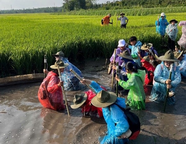P. Cư Bao: Gia đình Phật tử chùa Linh Thứu tổ chức sinh hoạt dã ngoại